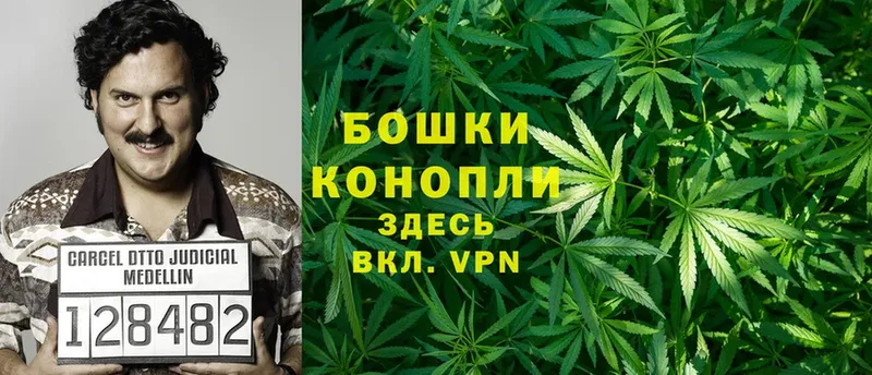 цена наркотик  Белокуриха  Бошки Шишки Ganja 